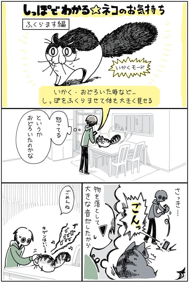 おどろいたのかな （C）キュルZ／KADOKAWA