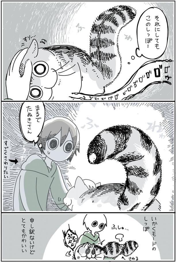 まるでたぬきさん （C）キュルZ／KADOKAWA