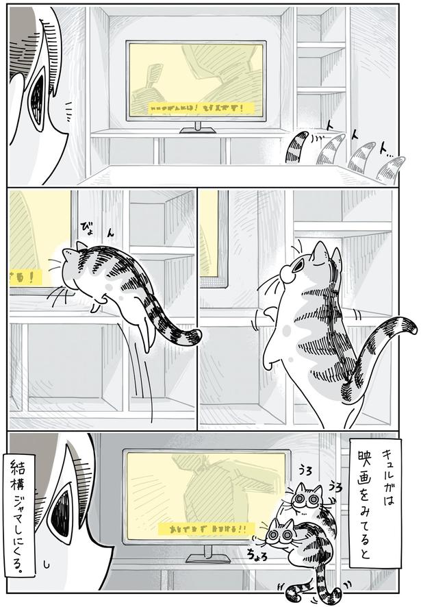 映画をみてると （C）キュルZ／KADOKAWA