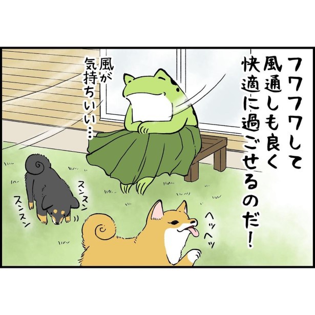 ユウコトリトリ(@yuko_toritori)
