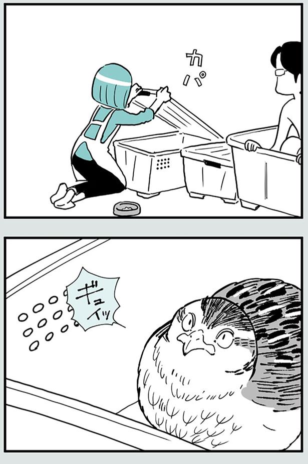 ハイごはん （C）前川さなえ／KADOKAWA