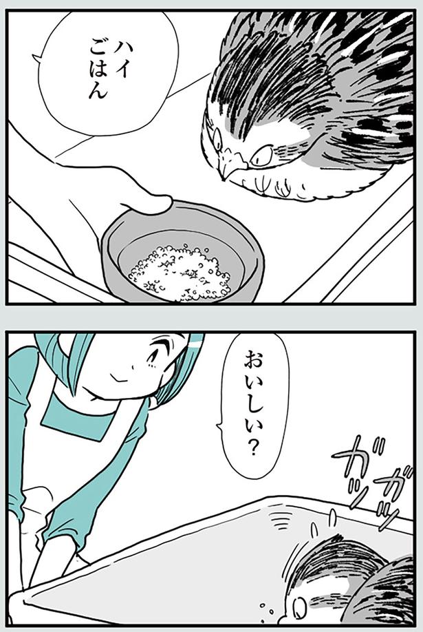 おいしい？ （C）前川さなえ／KADOKAWA