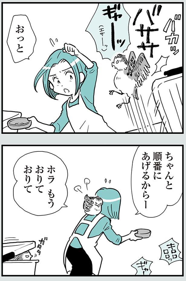 ちゃんと順番にあげるからー （C）前川さなえ／KADOKAWA