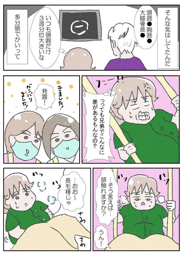 次男がうちにやってくるまで～出産編7～(1) 画像提供：なかじょん(@john11050250)