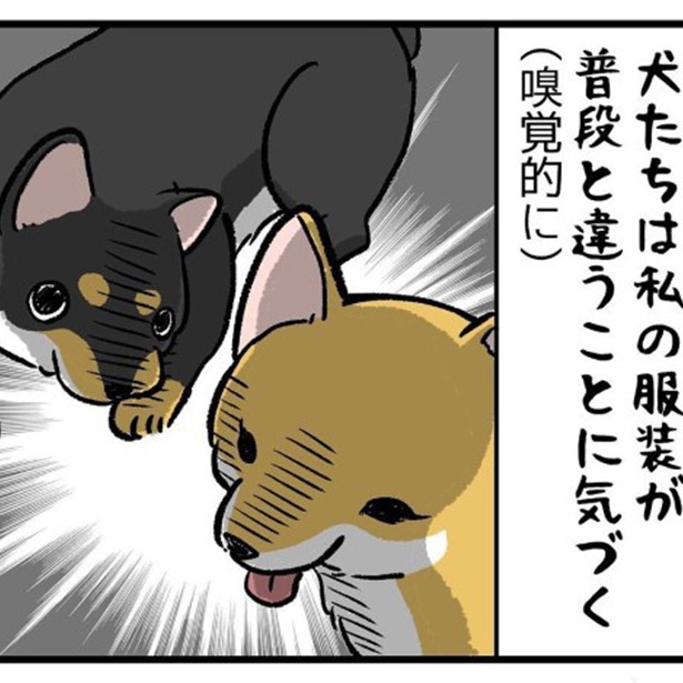 犬にファッションチェックをされると大体こうなる