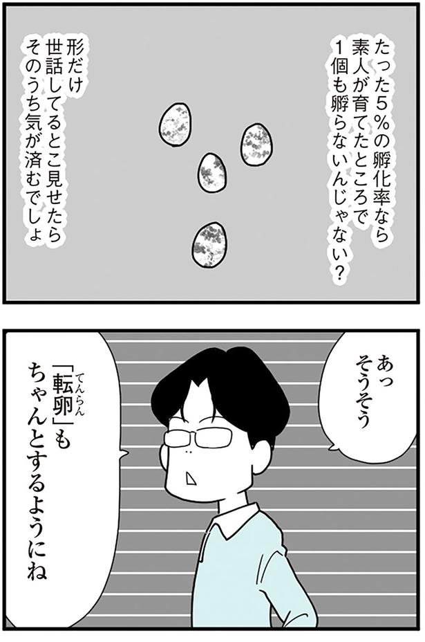 そうそう、転卵もちゃんとするようにね （C）前川さなえ／KADOKAWA