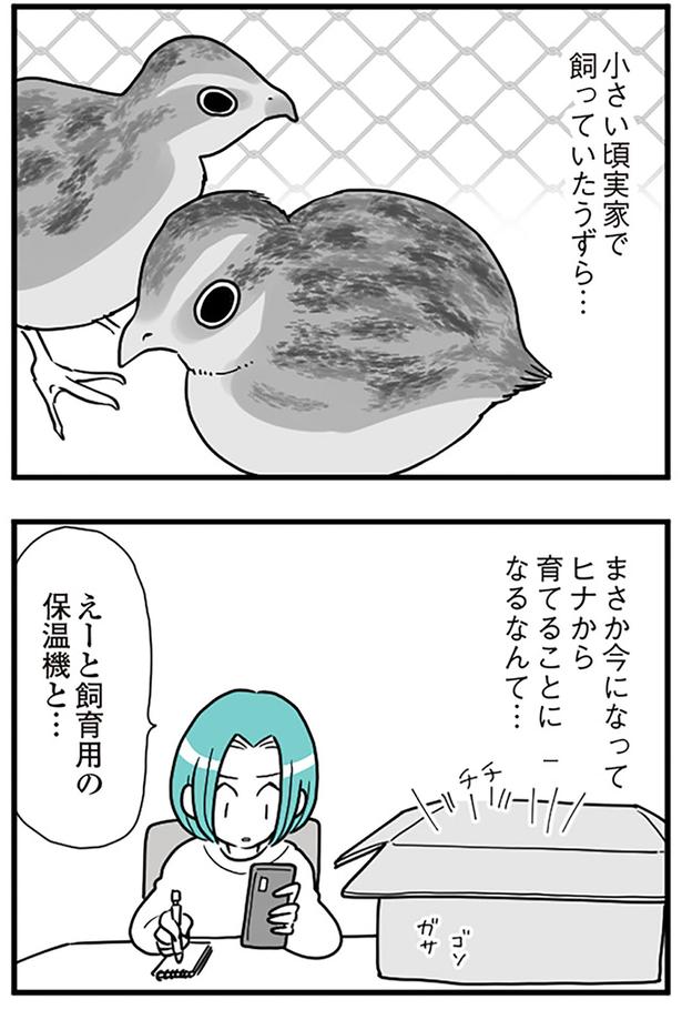 まさかヒナから育てることになるなんて... （C）前川さなえ／KADOKAWA
