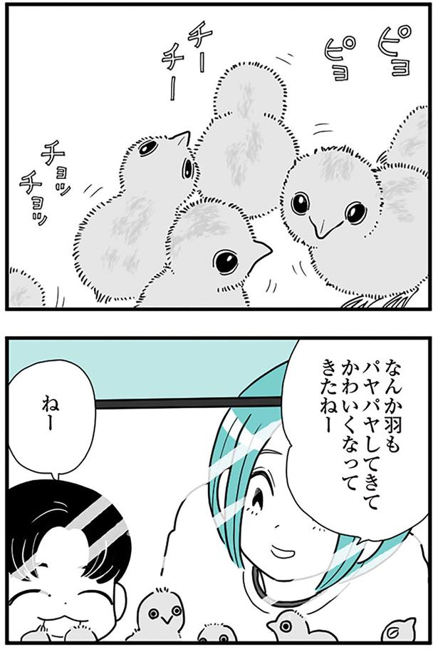 なんか羽もパヤパヤしてきてかわいくなってきたねー （C）前川さなえ／KADOKAWA