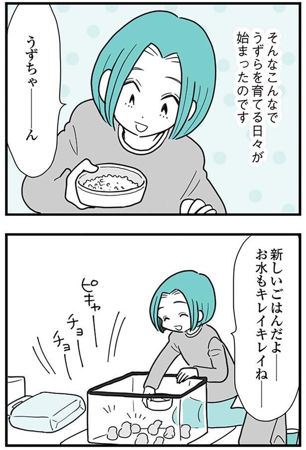 そんなこんなでうずらを育てる日々が始まったのです （C）前川さなえ／KADOKAWA