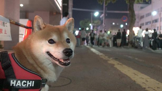 飽きないように、たまに場所を移動
