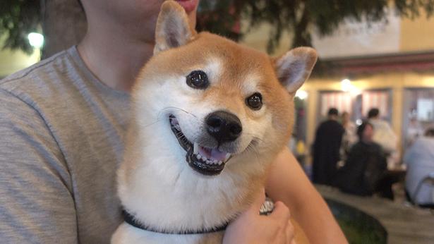 抱っこされてうれしそうなはちくん