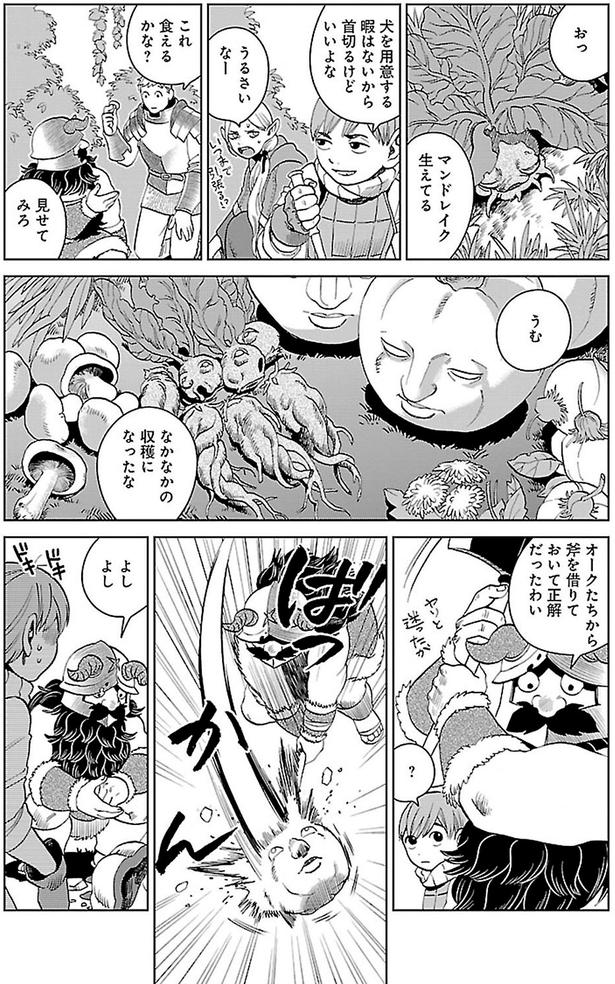 なかなかの収穫になったな （C）九井諒子／KADOKAWA