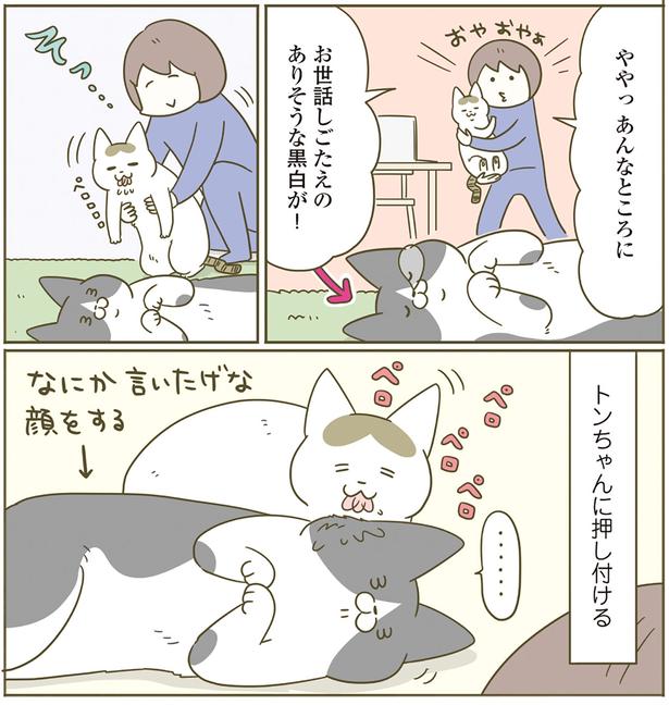 ややっ　あんなところに （C）卵山玉子／KADOKAWA
