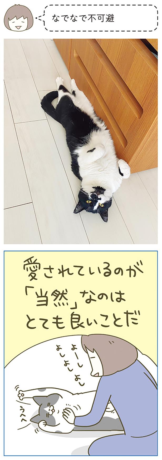 なでなで不可避です！ （C）卵山玉子／KADOKAWA