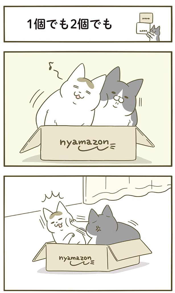 1個でも2個でも （C）卵山玉子／KADOKAWA