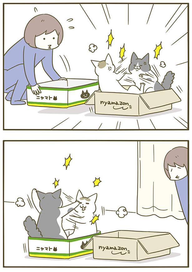 もう一箱用意しても （C）卵山玉子／KADOKAWA