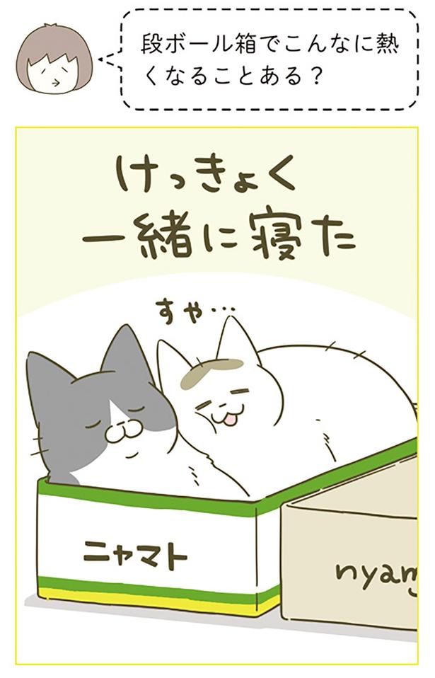 段ボール箱でこんなに熱くなることある？ （C）卵山玉子／KADOKAWA
