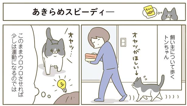 このままウロウロさせれば少しは運動になるのでは （C）卵山玉子／KADOKAWA
