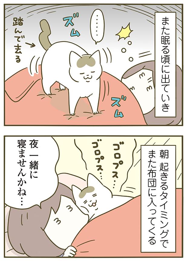夜一緒に寝ませんかね… （C）卵山玉子／KADOKAWA