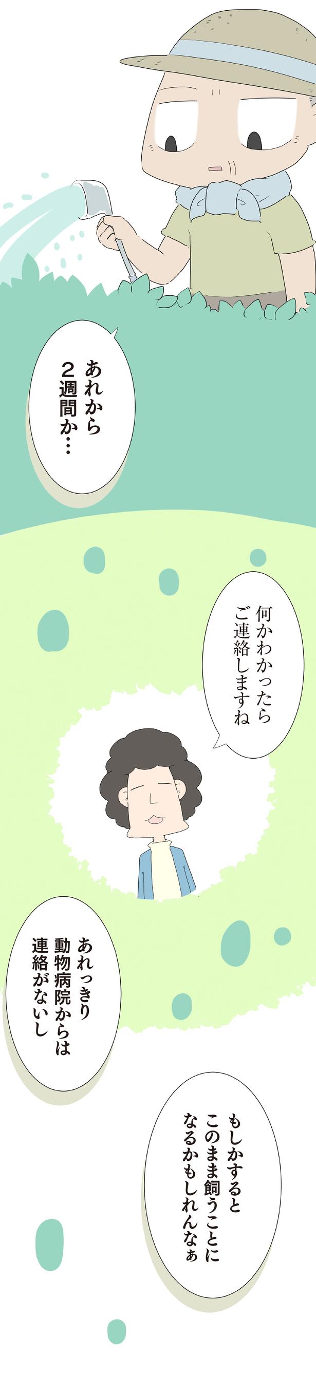 動物病院からは連絡がないし （C）大島由果／KADOKAWA