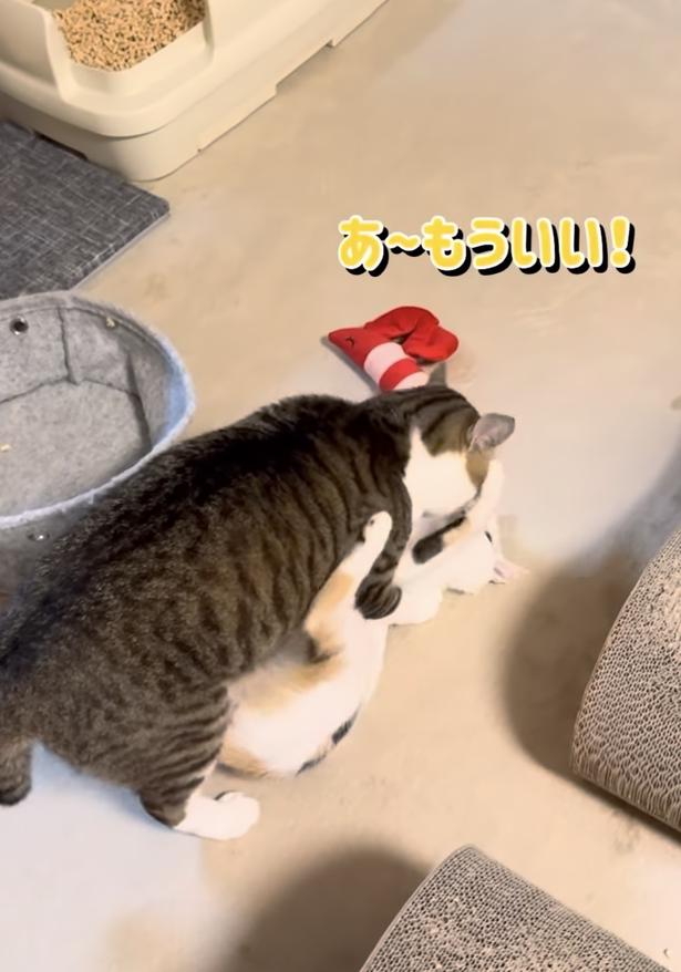 やめて!と妹からの反抗▶なんとか運びたい兄…(⇒次へ) okaka.soboro.onigiriさんのInstagramより