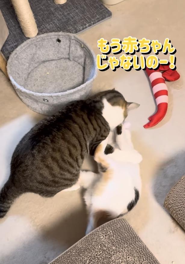 もう赤ちゃんじゃないの!▶初めての反抗に…(⇒次へ) okaka.soboro.onigiriさんのInstagramより