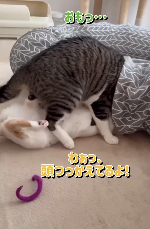 頭がひっかかってしまった▶怒った妹が…(⇒次へ) okaka.soboro.onigiriさんのInstagramより