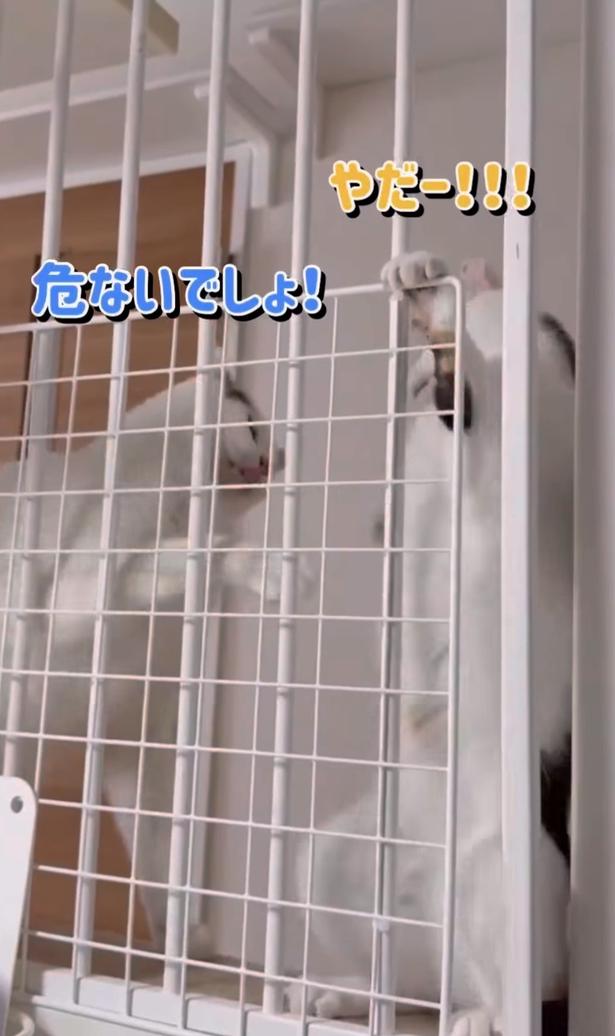 注意されてるみたい▶言うことを聞かない妹…(⇒次へ) okaka.soboro.onigiriさんのInstagramより