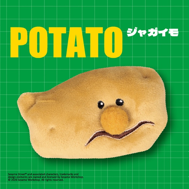  ジャガイモ