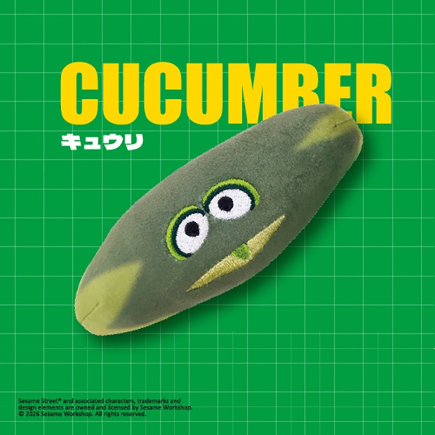  キュウリ