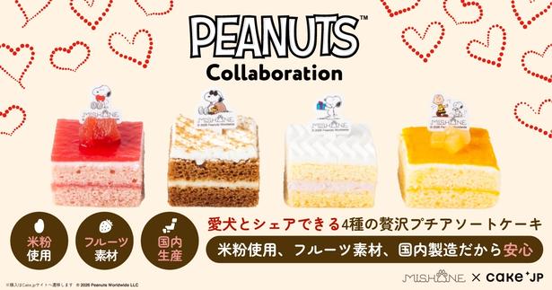 スヌーピーのケーキを愛犬とシェアできる!「ミシュワン」のプチケーキは「Cake.jp」から注文を