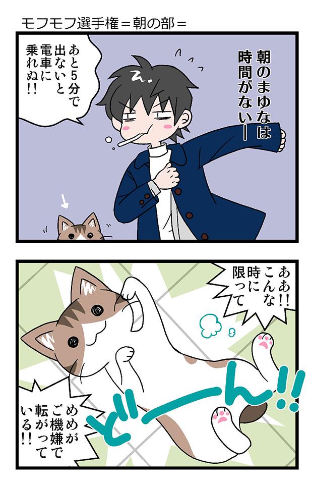 モフモフ選手権・朝の部。猫がごきげんで転がってる!