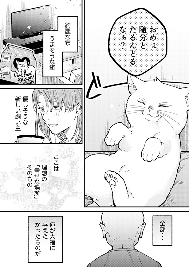 新しい飼い主の家は、猫好きおじさんが考える幸せな場所そのものだった