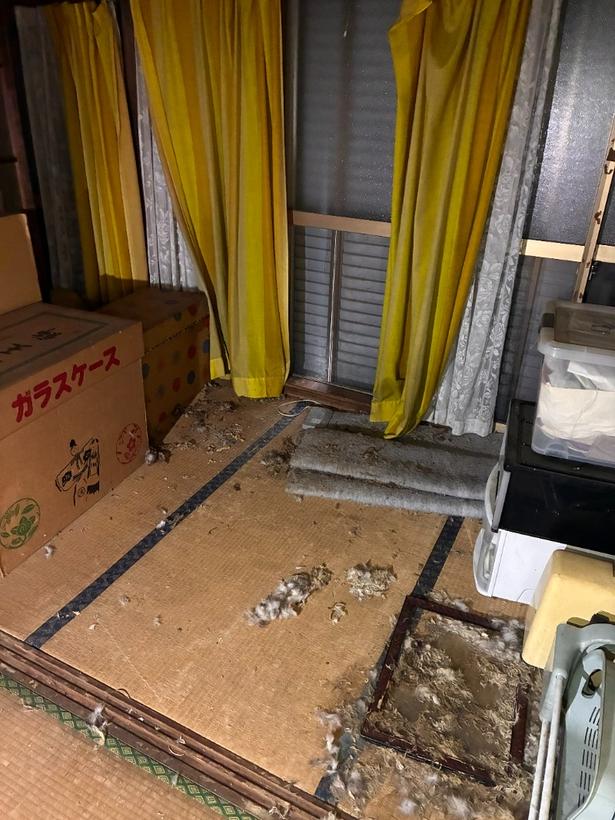長年放置された空き家