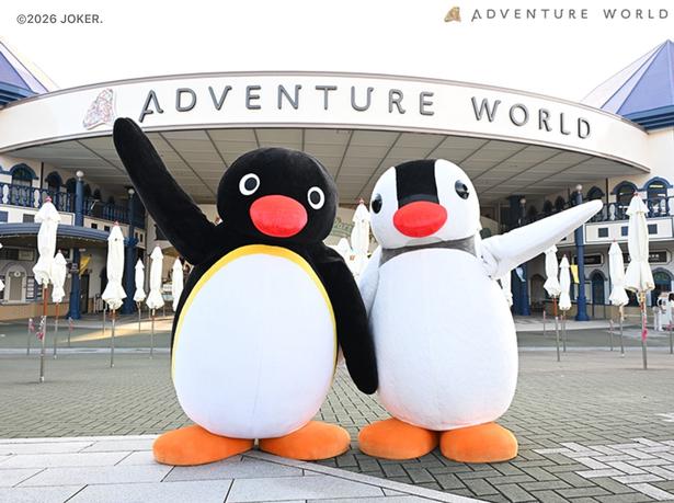 第2弾でもグリーティングは継続。ピングーとピンガに会える!
