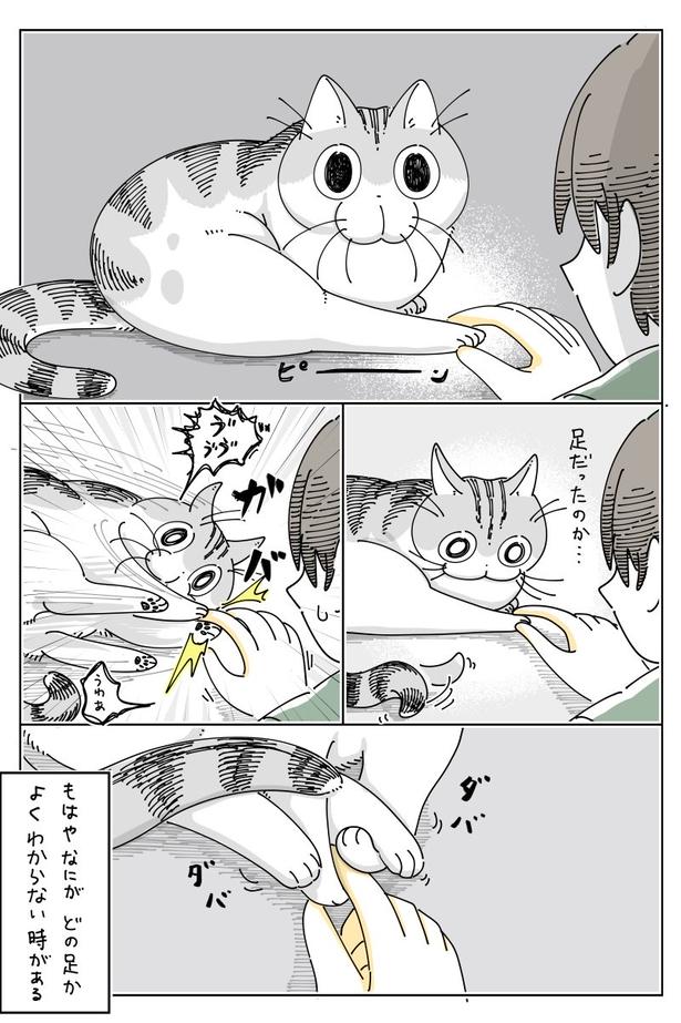 02 画像提供：キュルZ@kyuryuZ