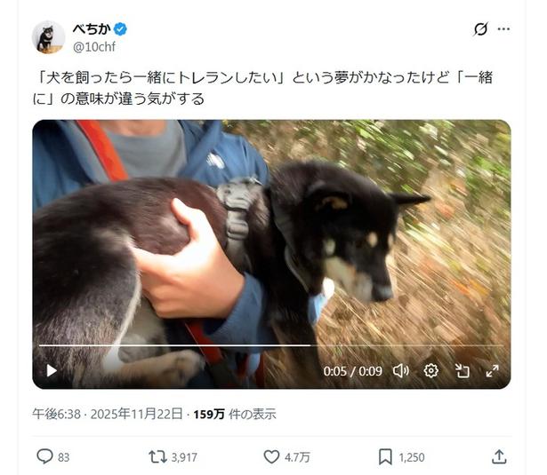 「犬を飼ったら一緒にトレランしたい」という夢がかなったけど「一緒に」の意味が違う気がする▶犬を飼ったら一緒にトレランしたかった飼い主さん(⇒次へ) べちか(@10chf)さんのXより