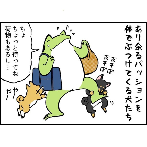 柴犬フィーバータイム油断すると逃しがち_3