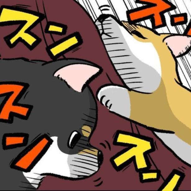 柴犬フィーバータイム油断すると逃しがち