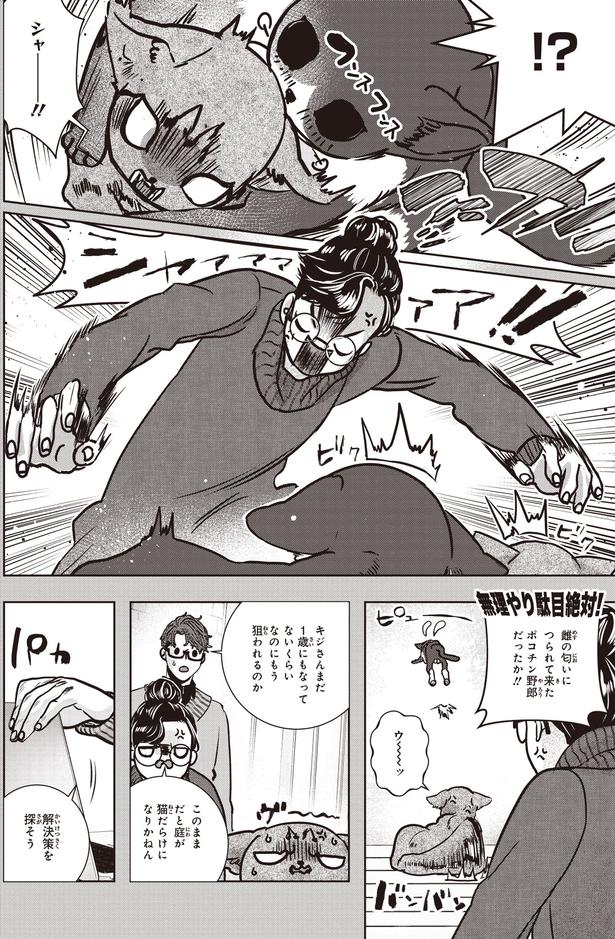 シャー！！ (C)叶輝、朝待夜駆／KADOKAWA
