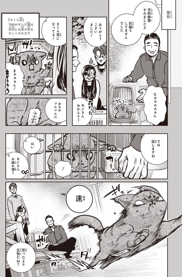 さくら耳になってる！ (C)叶輝、朝待夜駆／KADOKAWA