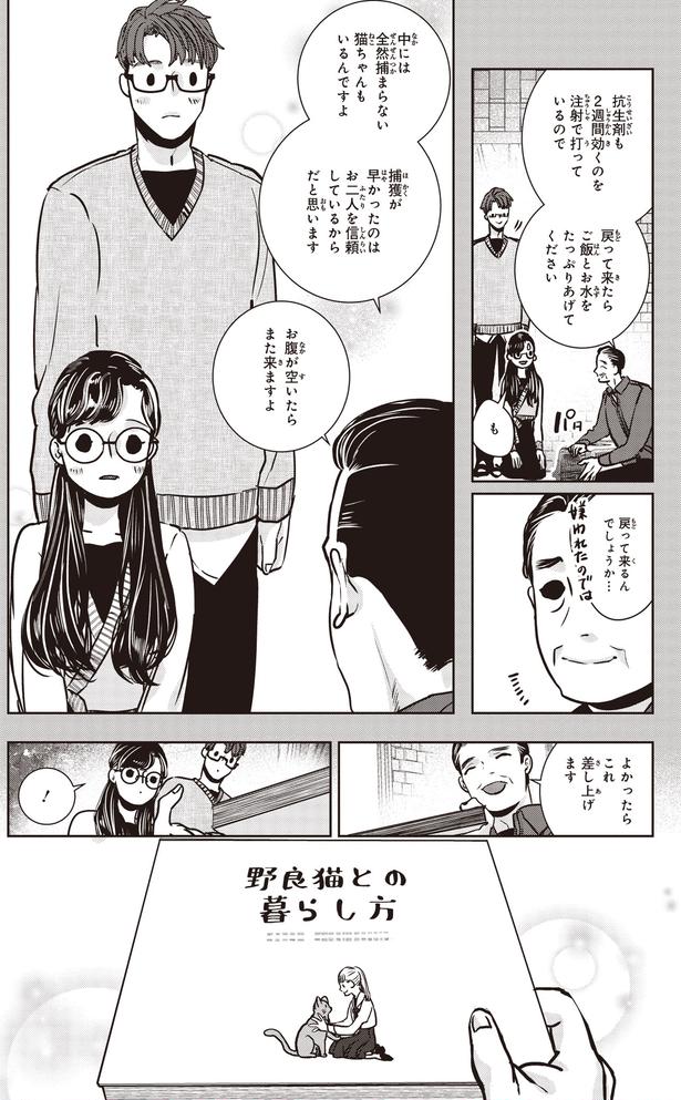 野良猫との暮らし方 (C)叶輝、朝待夜駆／KADOKAWA