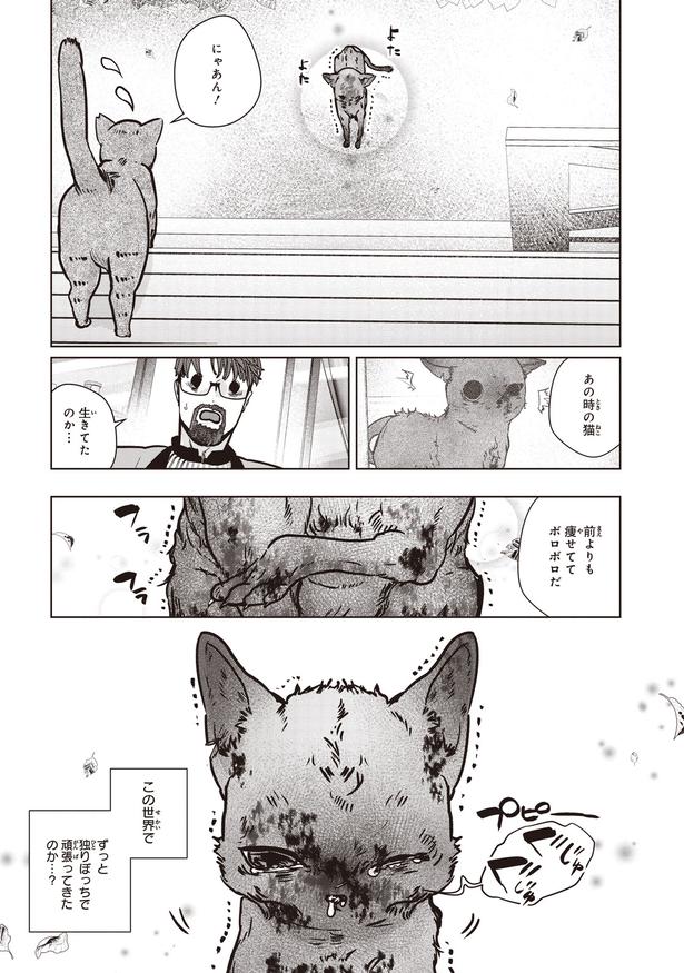 あの時の猫 (C)叶輝、朝待夜駆／KADOKAWA