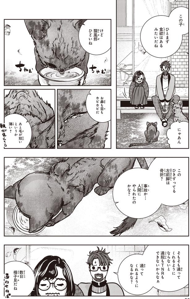 猫風邪ひどいね (C)叶輝、朝待夜駆／KADOKAWA