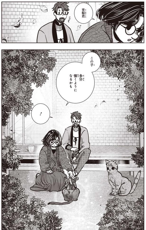 懐くようになるかも (C)叶輝、朝待夜駆／KADOKAWA