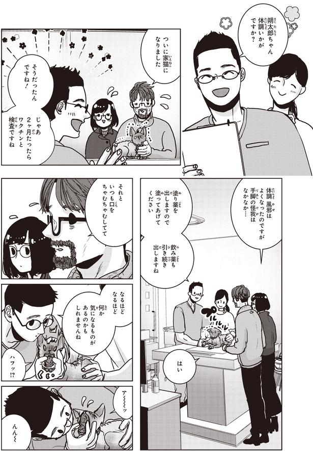いつも口をちゃむちゃむしてて (C)叶輝、朝待夜駆／KADOKAWA