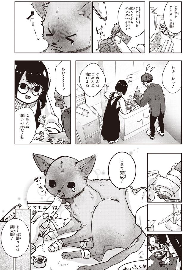 よく頑張ったね (C)叶輝、朝待夜駆／KADOKAWA