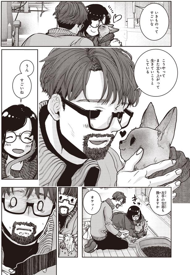 いきものってすごいな (C)叶輝、朝待夜駆／KADOKAWA