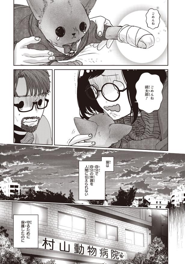 守るために保護したのに (C)叶輝、朝待夜駆／KADOKAWA
