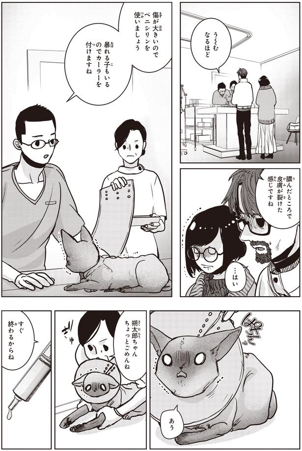 ちょっとごめんね (C)叶輝、朝待夜駆／KADOKAWA